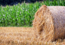 Haybale